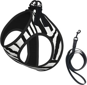 Ensemble de laisse pour chien Print Step In, harnais de gilet en maille pour petits chiens et chats - Product Image 1