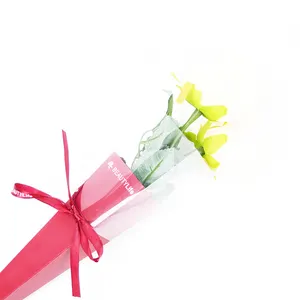 Одинарная Роза, упаковочная коробка с длинным стеблом, упаковочная коробка для цветов, конусная Подарочная бумажная коробка с лентой, прозрачная треугольная форма