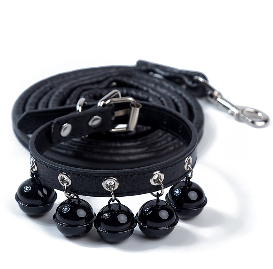 New pet products popular pet cat collar PU Amazon hot-selling lettered dog collar with bell