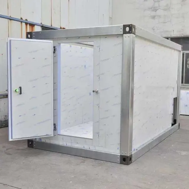 Kühlraum-Kühlhaus projekt zur Aufbewahrung von frischem Fisch fleisch Kühlraum hersteller Kühlraum preis für Rindfleisch