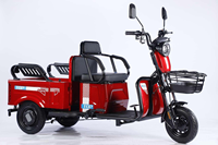 Vente en gros de tricycles électriques à 3 roues, prix d'usine, 48V 500W, gros pneus, tricycle cargo pour passagers