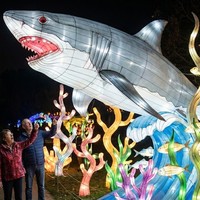 Decoración de Faroles con Forma de Animales Marinos para Parques de Atracciones, Uso en Interiores/Exteriores, Espectáculo de Luces para Parques Temáticos
