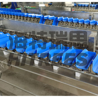Niveleuse à huîtres industrielle de grande capacité Machine de classement des écrevisses Ananas Herbes vertes Légumes Niveleuse à poisson