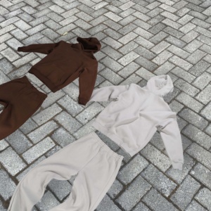 Conjunto de chándal holgado y pantalones de chándal con capucha y cremallera pesada recortada Lisa holgada para hombre de 100% algodón estampado con logotipo personalizado - Product Image 3
