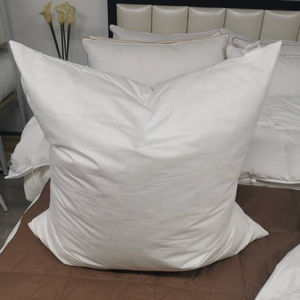 30x50cm 45x45cm 50x50cm 50x70cm inserto per <span class=keywords><strong>cuscino</strong></span> in piuma <span class=keywords><strong>d</strong></span>'<span class=keywords><strong>oca</strong></span> <span class=keywords><strong>cuscino</strong></span> in piuma <span class=keywords><strong>d</strong></span>'<span class=keywords><strong>oca</strong></span> anatra all'ingrosso - Product Image 1