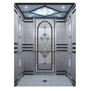 China Manufacturer 6 People Commercial Lift Passenger Etching Elevator Cabin Price