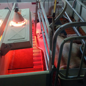 Caisses de mise bas PH PH-F1824 - Utilisation porcine - Fil d'acier à faible teneur en carbone Q235 - Durée de vie de 20 à 25 ans - Product Image 1