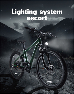 Vélo <span class=keywords><strong>électrique</strong></span> de montagne de qualité supérieure, moteur sans balais 250W 36V, moyeu en aluminium, frein à disque au lithium - Product Image 5