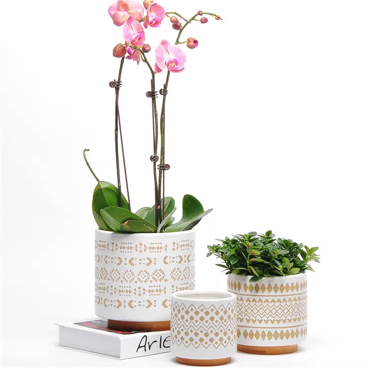 Vasos suculentas 5 polegadas estilo boho, bege e branco, de cerâmica, interior com base de madeira