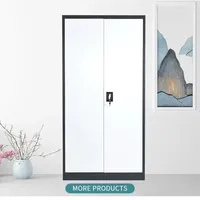 Armoire de classement Godrej, armoire de rangement, armoire en acier, usage commercial, mobilier de bureau, 2 portes battantes, métal, gris tendance, moderne, FC-A18 3