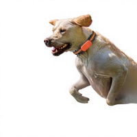 Collier de localisation GPS Beidou Wi-Fi pour chien, chat, mouton, anti-perte, localisateur de bétail, 4G Android/iOS, traceur intelligent pour animaux de compagnie