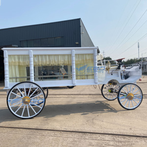 Bán Buôn Giá Rẻ Giá Hiệu Suất Cao Cổ Điển Xe Điện Xe/Cổ Điển Tang Lễ Xe Nhà Cung Cấp/Tang Lễ Xe Điện Xe - Product Image 6