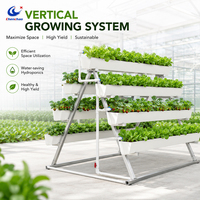 Système d'agriculture verticale intelligent économiseur d'eau, gouttière hydroponique de type A avec irrigation goutte à goutte brevetée pour la laitue