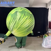 Costume de Mascotte Gonflable Chou en Promotion, Déguisement de Légume Gonflable Personnalisé pour la Promotion