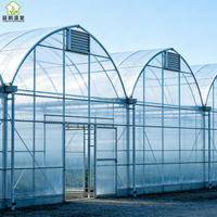 Serres industrielles multi-travées de grande taille au meilleur prix d'usine pour plantes et jardins potagers avec structure galvanisée à chaud