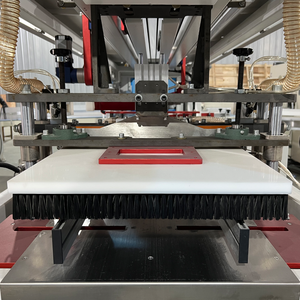 Machine d'emballage à alimentation fluide avec remplacement facile des moules et faible taux de défaillance pour l'atelier d'emballage en profondeur de mouchoirs familiaux - Product Image 6