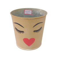 Jardinière en fer galvanisé Conteneur à plantes en métal Seaux de ferme Visage Pot de fleur décoratif Maison Intérieur Chambre à coucher Baignoires fraîches