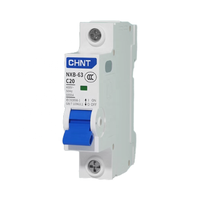 Matériel de cuivre durable de mini disjoncteur de série NXB-63 de Chint avec des options NXB-63 de 1P C32