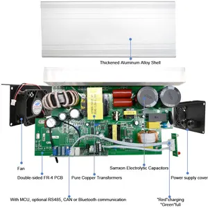 バッテリー充電器付き3輪電動ドリフトトライクスクーター用48ボルト15Aバッテリー充電器48vlifepo4