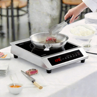 Table de cuisson électrique de comptoir plus sûre 3500W, cuisinière à induction à flamme intense, usage commercial