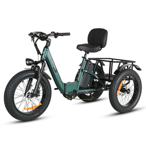 Tricycle Samebike 20 pouces à pneus larges en aluminium RS-A01 Pro, batterie lithium 48V, fourche à suspension, offre une puissance durable et un fonctionnement fluide - Product Image 1