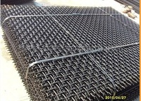 Crible vibrant en treillis métallique tissé en acier 65Mn pour l'exploitation minière, le filtrage du sable, du gravier et du charbon