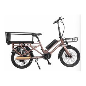 Bicicleta eléctrica C075 BUMBLE Dynem a precio económico, bicicleta eléctrica urbana con llantas gruesas, bicicleta eléctrica urbana para hombres y mujeres - Product Image 1