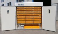Offre Spéciale pas cher prix 5000 oeufs capacité automatique industriel incubateur d'oeufs poulet Machine à couver