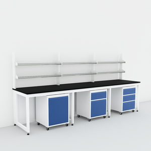 เฟอร์นิเจอร์ห้องปฏิบัติการ/โต๊ะติดผนังห้องปฏิบัติการพร้อมอ่างล้างจานและตู้ติดผนัง - Product Image 4