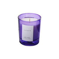 Bougie en cire de soja en forme de branche d'arbre personnalisée, cadeau de Noël, pot en verre, fabrication artisanale, écologique, brûle de 12 à 24 heures, boîte cadeau