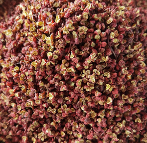 Scorze di Peperoncino <span class=keywords><strong>Rosso</strong></span> Cinese Essiccato, Gusci di Frutti di Szechuan Pepper - Product Image 2