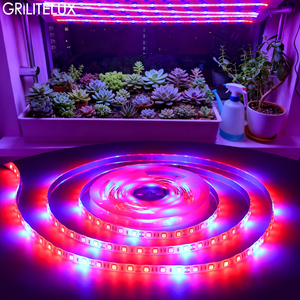 Tira de Luz LED para Cultivo de Plantas de 16.4 Pies, Espectro Dual Rojo y Azul 5:1, IP20/IP65, Lámpara Flexible para Invernadero - Product Image 1
