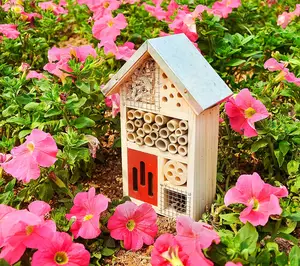 Wooden Insect House, Perfect Home for Ladybirds and Lacewings and Bees