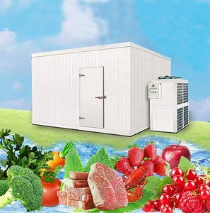 冷凍庫クーラーで歩く魚の冷蔵室 - Product Image 3