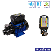 Pompe à eau centrifuge solaire de surface en fonte de 1 pouce, 72 V CC, 750 W, 60 m pour diverses applications de gestion de l'eau