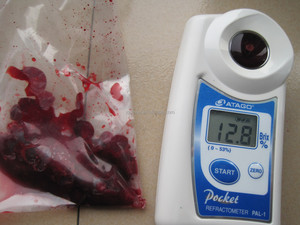 Nouvelle récolte de mûres surgelées IQF BRC HACCP - Mûres entières surgelées de qualité A en gros pour l'industrie de la confiture et du jus - Product Image 6