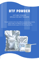 Poudre DTF adhésive blanche pour transfert thermique, pour impression par transfert, disponible en 1 kg, 5 kg et autres formats.