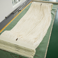 Module de membrane PVDF MBR, membrane à fibres creuses submergée pour les stations d'épuration des eaux usées
