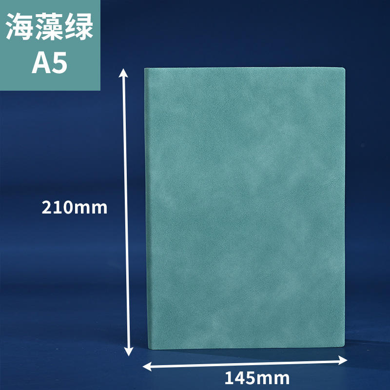 A5 cuir souple vert algue-page 200