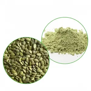 Extracto de semilla de calabaza de alta calidad Semilla de calabaza 60% Proteína en polvo Extracto de semilla de calabaza en polvo
