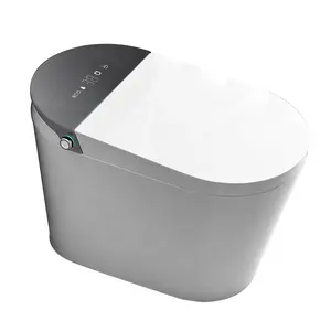 PTB bagno moderno Smart wc automatico pavimento in ceramica intelligente con riscaldamento del sedile pulizia dell'anca