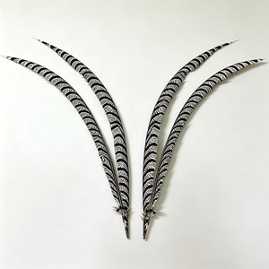 Plumas de cola de faisán Reeves de primera calidad - Perfectas para la fabricación de sombreros, manualidades de atrapasueños y accesorios de disfraces de teatro - Product Image 2