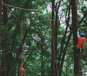 萨克森编织麻绳纯棉/涤棉圆形图案耐用包装箱包服装家纺 - Product Image 3