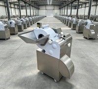 Commerciële roestvrijstalen elektrische groentesnijmachine voor het verwerken van wortelgroenten zoals ui, aardappel en wortel.