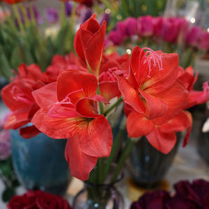 Fleur d'amarille artificielle en PU de 53 cm de hauteur, blanche, <span class=keywords><strong>rose</strong></span> et rouge, pour la décoration de mariage, de Noël et de Pâques, vente en gros IFG - Product Image 6