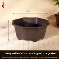 Pots à Bonsaï et Plantes Succulentes en Résine, Design Octogonal de Grande Taille, Style Simple