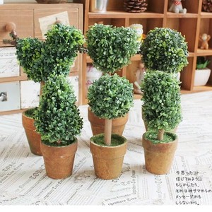 6 formas Artificial <span class=keywords><strong>musgo</strong></span> fresco <span class=keywords><strong>bolas</strong></span> planta verde hermosa Casa <span class=keywords><strong>de</strong></span> la decoración del Partido <span class=keywords><strong>de</strong></span> Moss adorno DIY Artificial <span class=keywords><strong>de</strong></span> hierba - Product Image 1