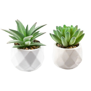 Décoration de maison plantes succulentes artificielles meubles de bureau accessoires de maison décoration de <span class=keywords><strong>jardin</strong></span> vase en céramique plantes succulentes <span class=keywords><strong>cadeau</strong></span> - Product Image 3
