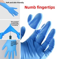 Gants en nitrile pur épaissis à usage unique, résistants à l'huile, imperméables, résistants aux acides et aux alcalis, certifiés fabricant