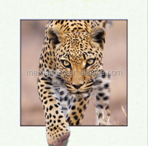 1000 Design Ecologici in Materiale PET, Poster 3D Lenticolari <span class=keywords><strong>Anime</strong></span> 40*40 cm, Immagini Animazione per Pareti - Product Image 4